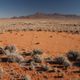 Namibia’s Fairy Circles. (Image: Jen Guyton)